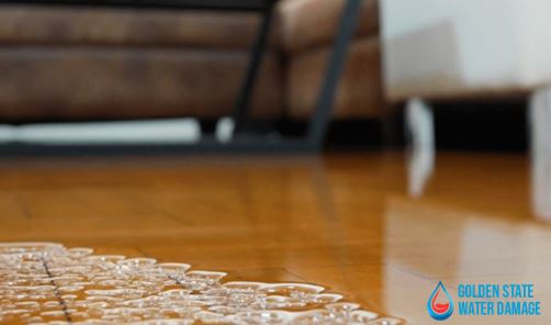 Water Damage Repair in Shadow Hills: The Importance of Professional Assistance