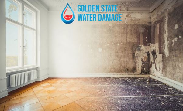 Property Damage Restoration at Reseda: How to Restore Your Property After Disasters