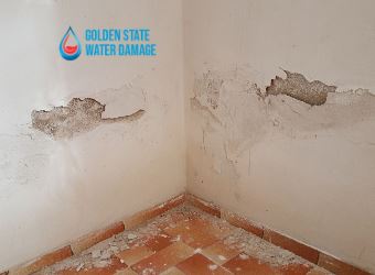 Efficient Water Damage Restoration Services in La Crescenta and Montrose