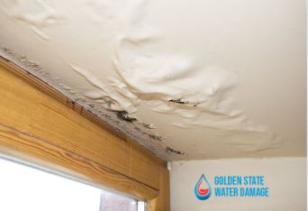 The Ultimate Guide to Water Damage Repair in Bel Air: How to Save Your Home from Total Destruction