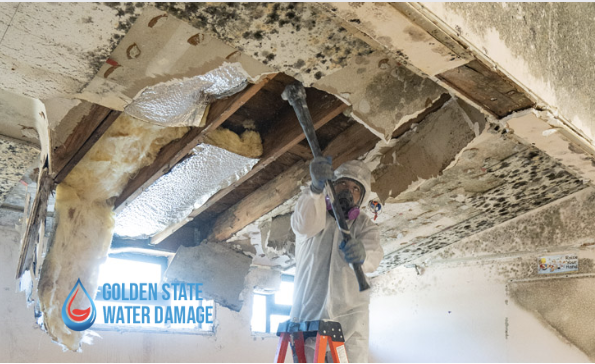Mold Remediation in Rancho Palos Verdes: The Consequences of Choosing the Wrong Company