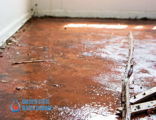 Surviving the Deluge: Why Palos Verdes Estates Homeowners Need Professional Water Damage Repair Services