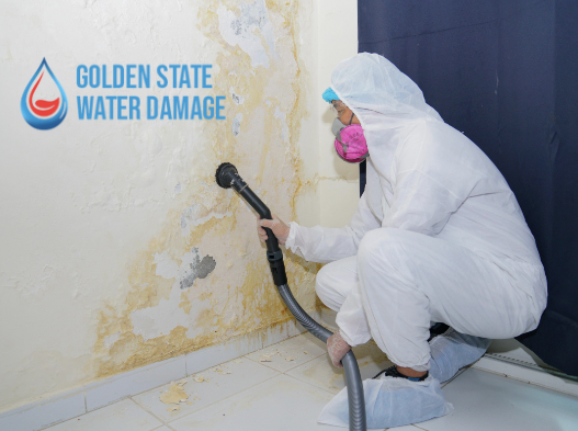 Protecting Your Home and Health: A Guide to Mold Remediation in San Fernando Valley