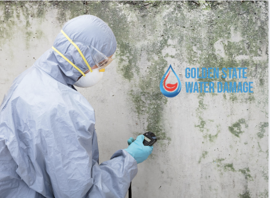 Combatting Mold in San Fernando Valley: Cause, Effect, and Proper Removal Techniques