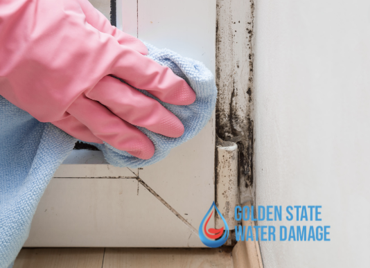 Mold Check Solutions in San Fernando Valley: Effective and Safe Detection Techniques