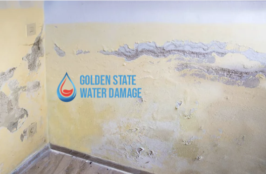 Restoring Water Damaged Properties in Santa Monica: Importance and Process Explained