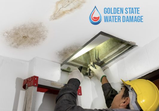 The Cost of Water Damage Repair in Westlake Village: What to Expect