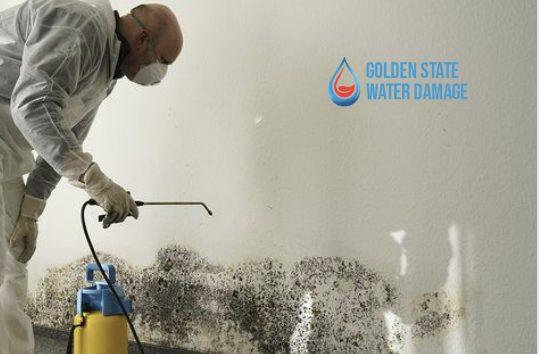 Mold Remediation in Westlake Village: How to Get Rid of Mold Once and for All