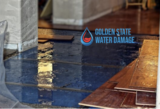 Preventing and Managing Water Damage in Westwood: A Complete Guide
