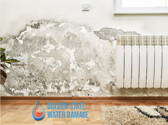 San Fernando Valley Water Damage Repair: The Importance of Acting Fast