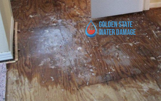 Water Damage Restoration in Westwood: Tips and Tricks for a Successful Restoration